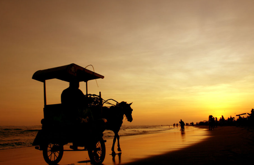 Tempat Wisata Pantai Parangtritis Yogyakarta