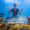 Kegiatan Snorkeling untuk Melihat Keindahan Bawah Laut