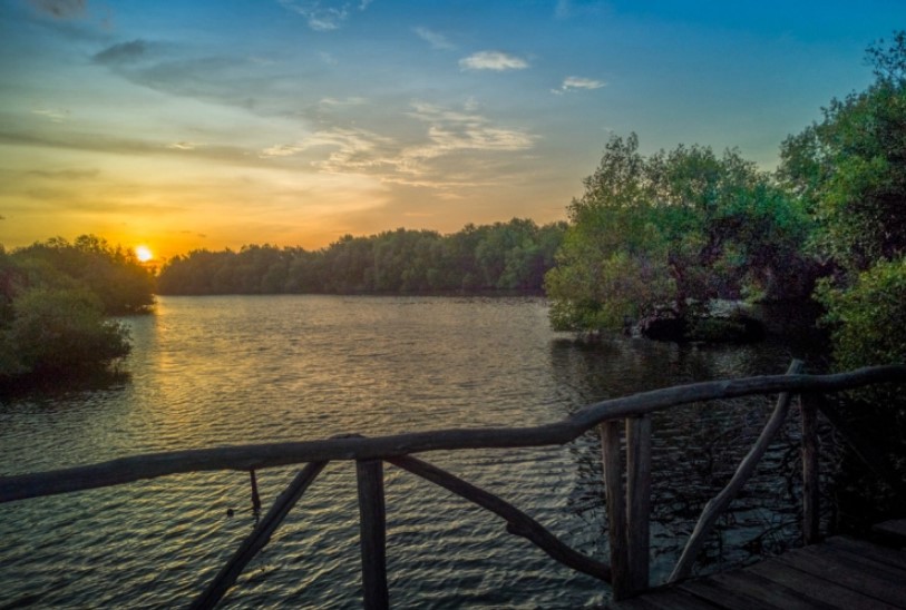 Menikmati Sunset di Hutan Mangrove Jakarta