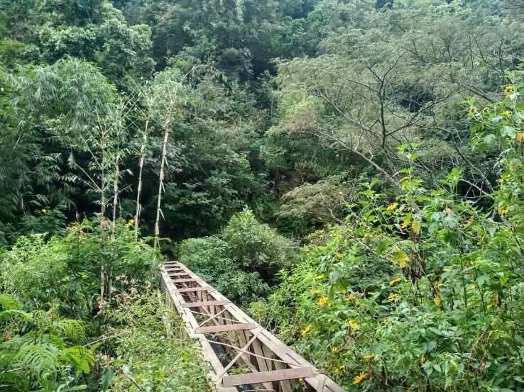 Rute Jalan Menuju Air Terjun Coban Rais, Jembatan Bambu