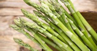 Manfaat Asparagus Untuk Ibu Hamil